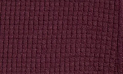 Lunya Wafflesoft Jogger In Animal Print