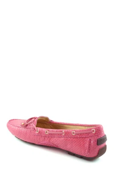 Marc Joseph New York Cypress Hill Leather Tiebow Driver Loafer In Pink