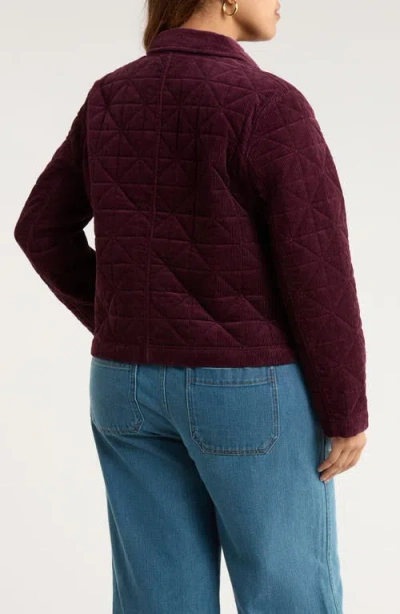 Seasalt Cornwall Incoming Tide Quilted Organic Cotton Corduroy Jacket In Brown