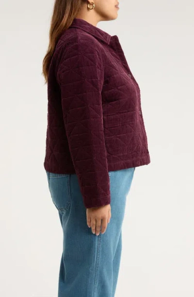 Seasalt Cornwall Incoming Tide Quilted Organic Cotton Corduroy Jacket In Brown