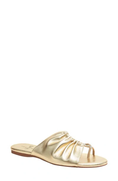 Linea Paolo Lane Toe Loop Sandal In Gold