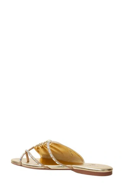 Linea Paolo Lane Toe Loop Sandal In Gold