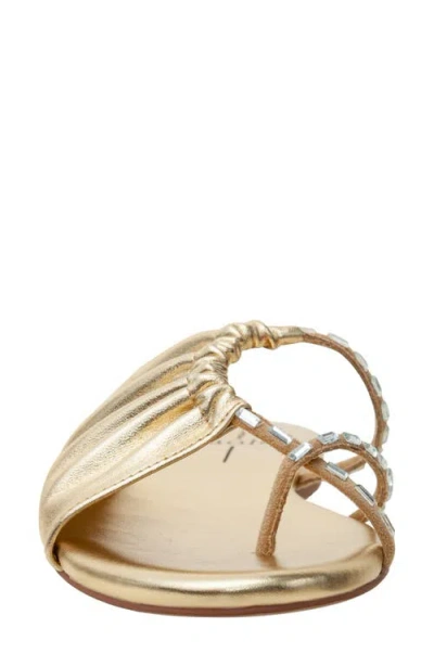 Linea Paolo Lane Toe Loop Sandal In Gold