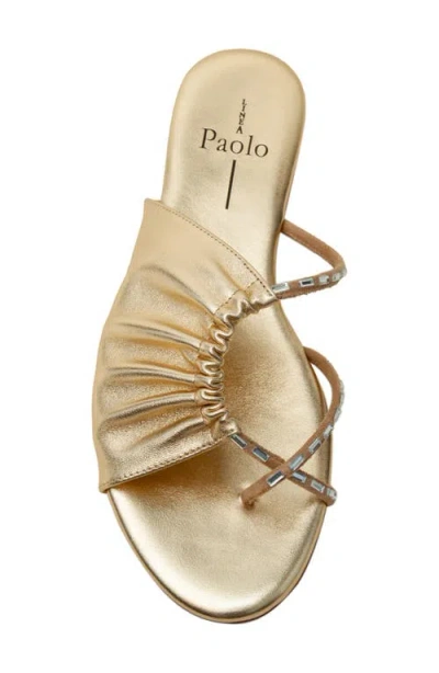 Linea Paolo Lane Toe Loop Sandal In Gold