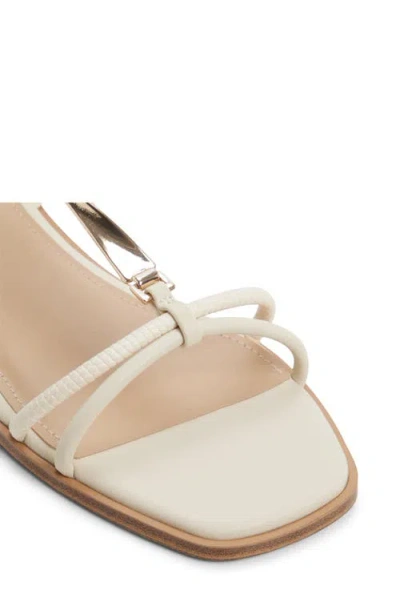 Aldo Ebaeryn Ankle Strap Sandal In Neutral