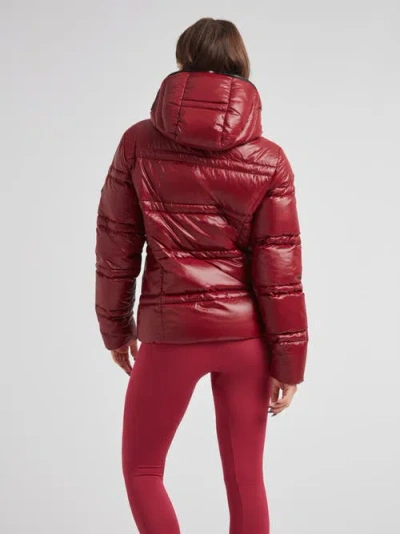 Jack1t R4d Tramline Racer Hooded Puffer Jacket In Multi