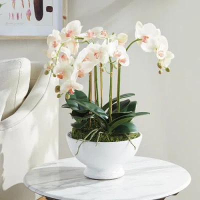Napa Home & Garden Phalaenopsis Orchid Bowl Artificial Plant Drop-in In Multi