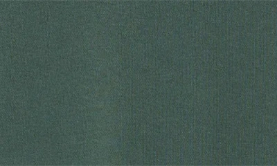 Dark Seas Burkhart Embroidered Heavyweight Fleece Hoodie In Green