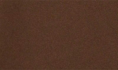 Dark Seas Lagoon Graphic Fleece Hoodie In Brown