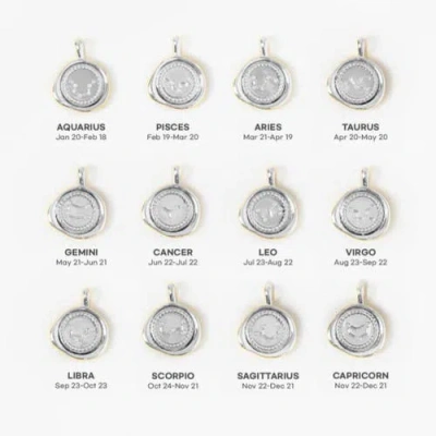 Bearfruit Jewelry 14k Gold Plated Seal Constellation Necklace 12 Zodiac Signs Holiday Gift Guide In Gray