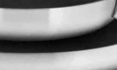 Scanpan Cs+ 2-piece Fry Pan Set In Silver