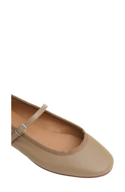Mansur Gavriel Dance Mary Jane Flat In Animal Print