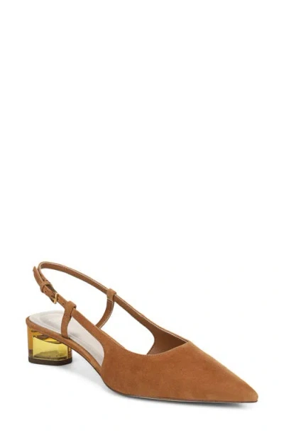 Sarto By Franco Sarto Amelie Slingback Pointed Toe Pump In Brown