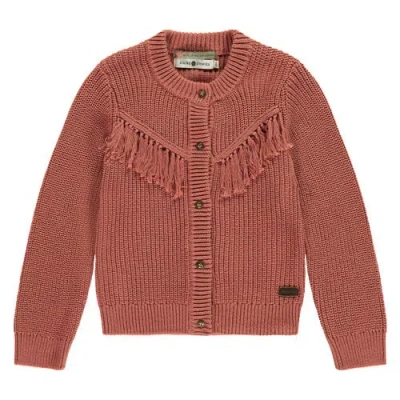 Stains And Stories By Babyface Tassel Accent Knit Cardigan In Brown