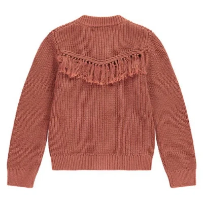 Stains And Stories By Babyface Tassel Accent Knit Cardigan In Brown