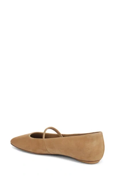 Sarto By Franco Sarto Teyana Mary Jane Flat In Brown