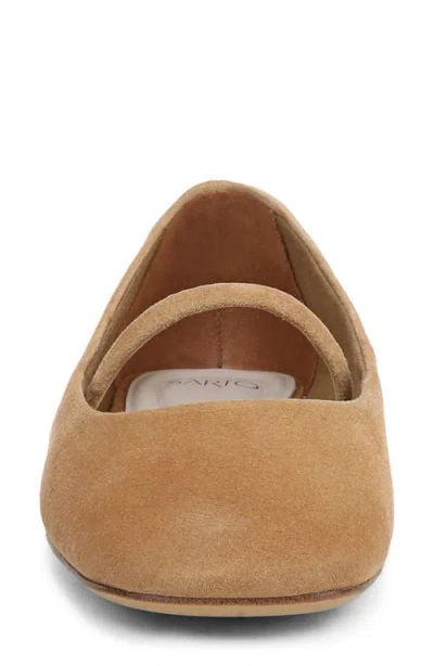 Sarto By Franco Sarto Teyana Mary Jane Flat In Brown