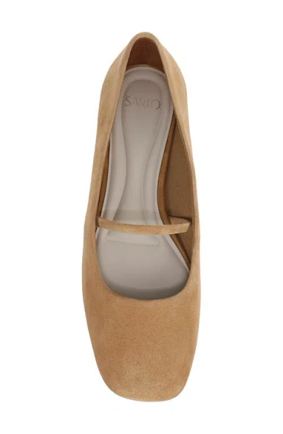 Sarto By Franco Sarto Teyana Mary Jane Flat In Brown