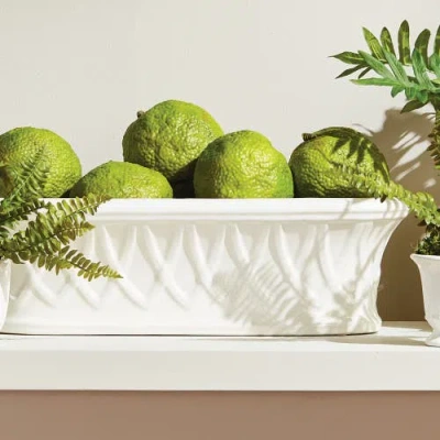 Napa Home & Garden Hillingdon Oblong Cachepot In White