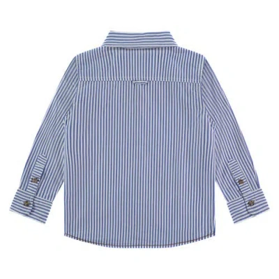 Stains And Stories By Babyface Pinstripe Button Up Long Sleeve Shirt In Blue