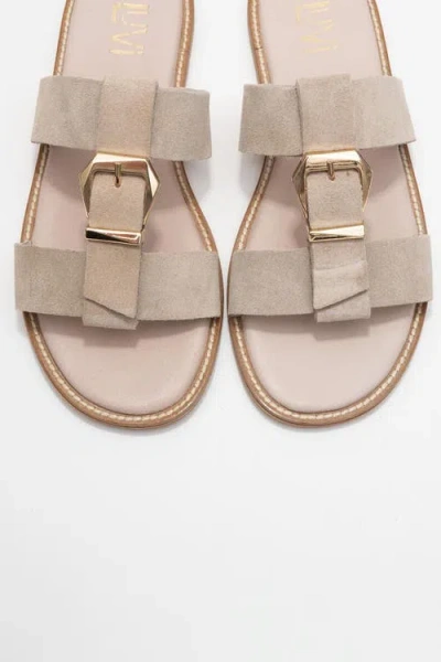 Forever & Always Shoes Sveta Leather Buckled Sandal In Multi