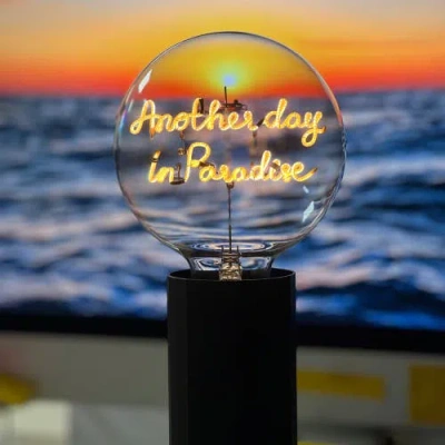 Mitb Another Day In Yellow