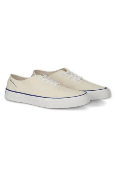 Fortela Redondo Canvas Sneakers By Mr. Fliks In White