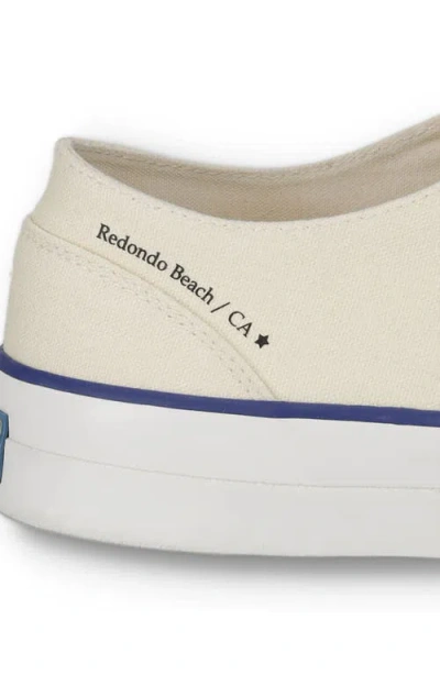 Fortela Redondo Canvas Sneakers By Mr. Fliks In White