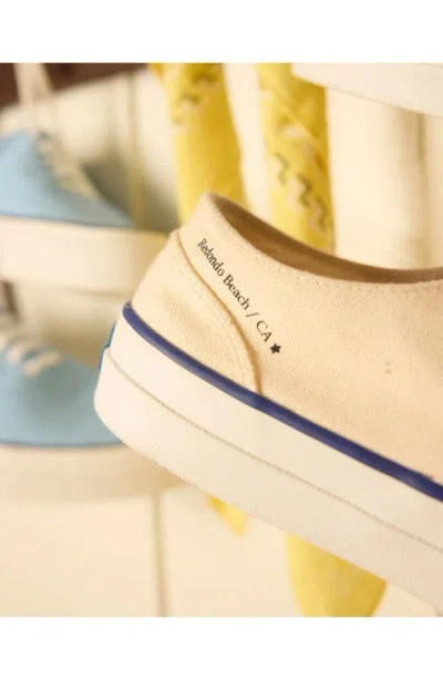 Fortela Redondo Canvas Sneakers By Mr. Fliks In White