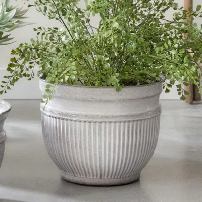 Napa Home & Garden Camelia Pots Set Of 3 In White