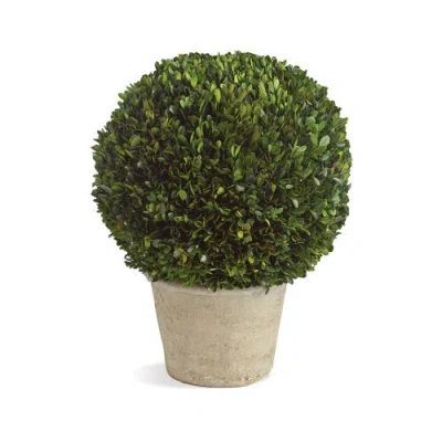 Napa Home & Garden Napa Home And Garden 12in Ball In Pot In Green