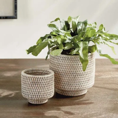Napa Home & Garden Burma Rattan Cachepots Small Set Of 2 In Neutral