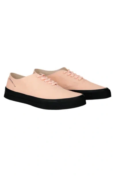 Fortela Redondo Canvas Sneakers By Mr. Fliks In Pink