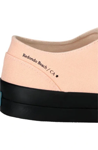 Fortela Redondo Canvas Sneakers By Mr. Fliks In Pink