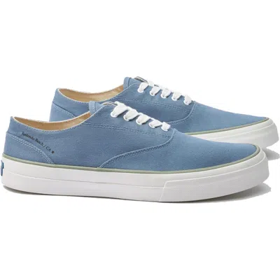 Fortela Redondo Canvas Sneakers By Mr. Fliks In Blue