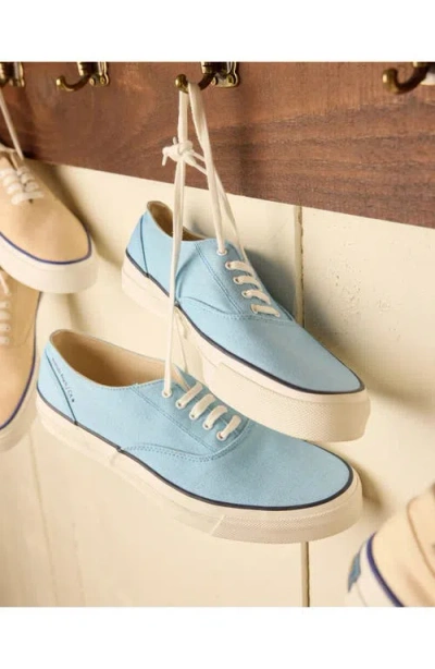 Fortela Redondo Canvas Sneakers By Mr. Fliks In Blue