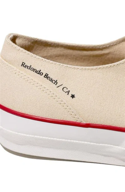 Fortela Redondo Canvas Sneakers By Mr. Fliks In Neutral