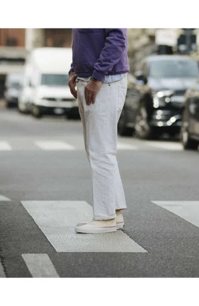 Fortela Redondo Canvas Sneakers By Mr. Fliks In Neutral