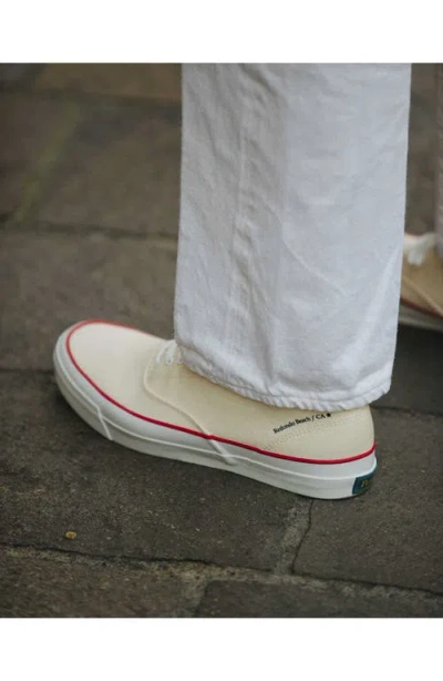 Fortela Redondo Canvas Sneakers By Mr. Fliks In Neutral