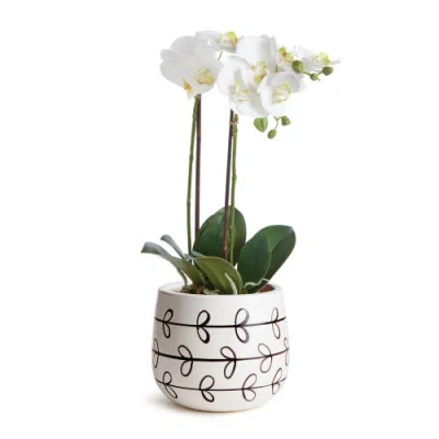 Napa Home & Garden Millie Hand-painted Pot In White