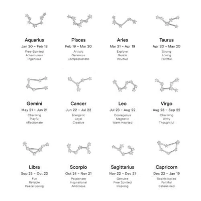 Bearfruit Jewelry 14k Gold Constellation Zodiac Necklace, 12 Zodiac Constellation Holiday Gift Idea In Silver