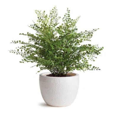 Napa Home & Garden Shawna Pot In White