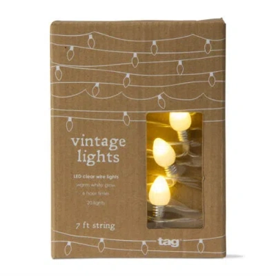 Tag Vine Led String Lights 20 Count Indoor White Christmas In Multi