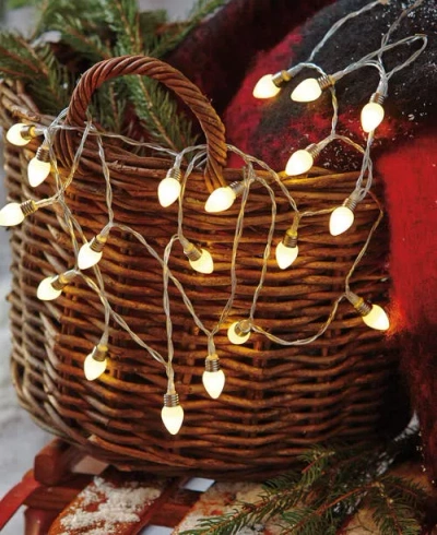 Tag Vine Led String Lights 20 Count Indoor White Christmas In Multi