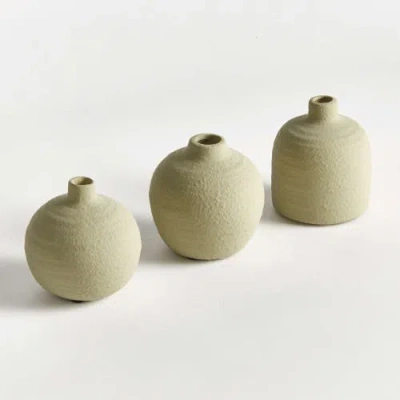 Napa Home & Garden Jordan Bud Vases Set Of 3 In Green