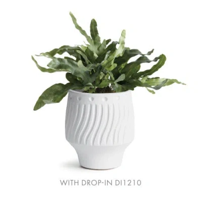 Napa Home & Garden Larson Decorative Cachepot In White
