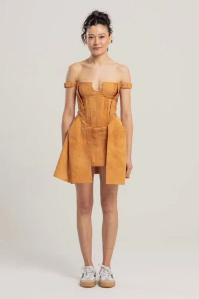 Pcfg Corset Dress In Brown