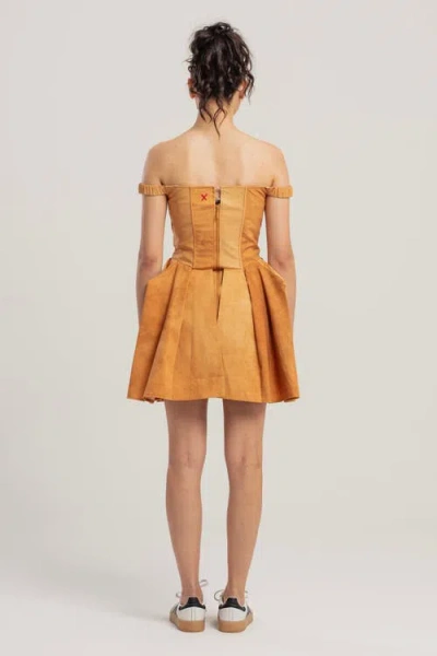 Pcfg Corset Dress In Brown