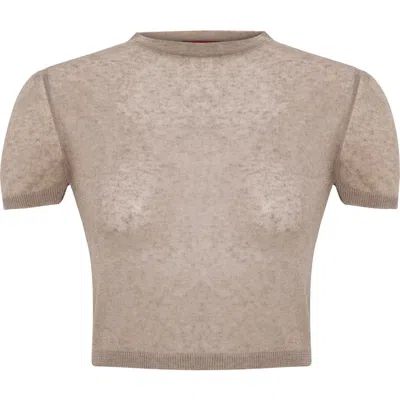 Pcfg Short Sleeve Knit Top In Brown