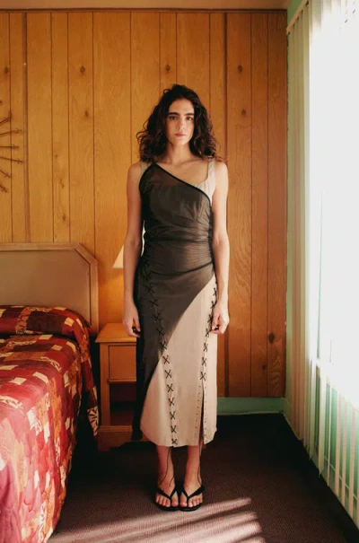 Pcfg Bodycon Dress With Tulle In Brown